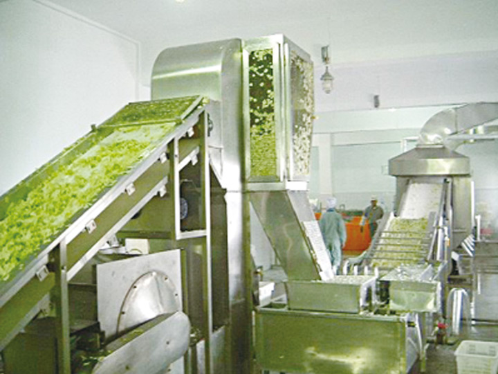 Dehydrated vegetable belt dryer
