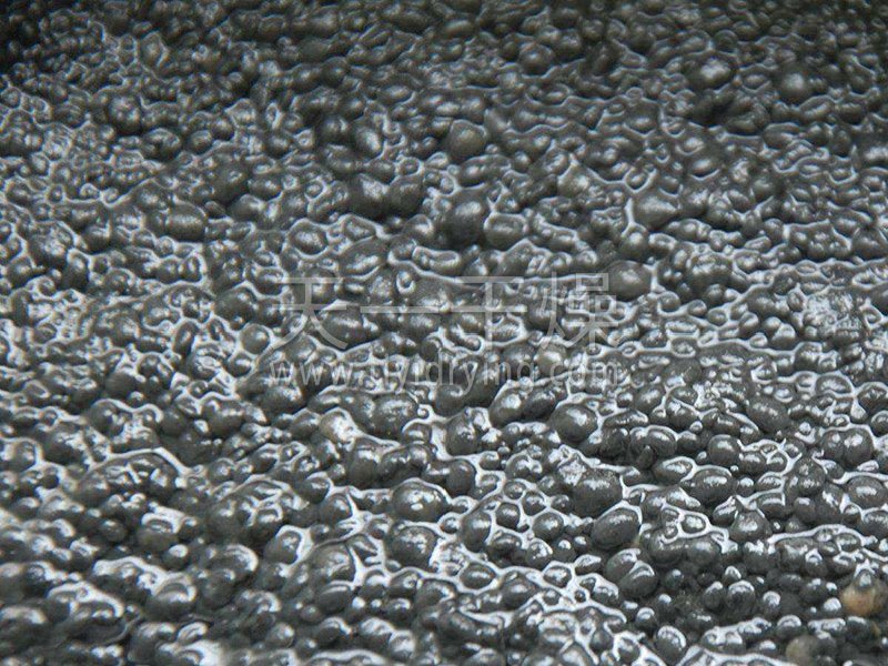 Sludge before drying